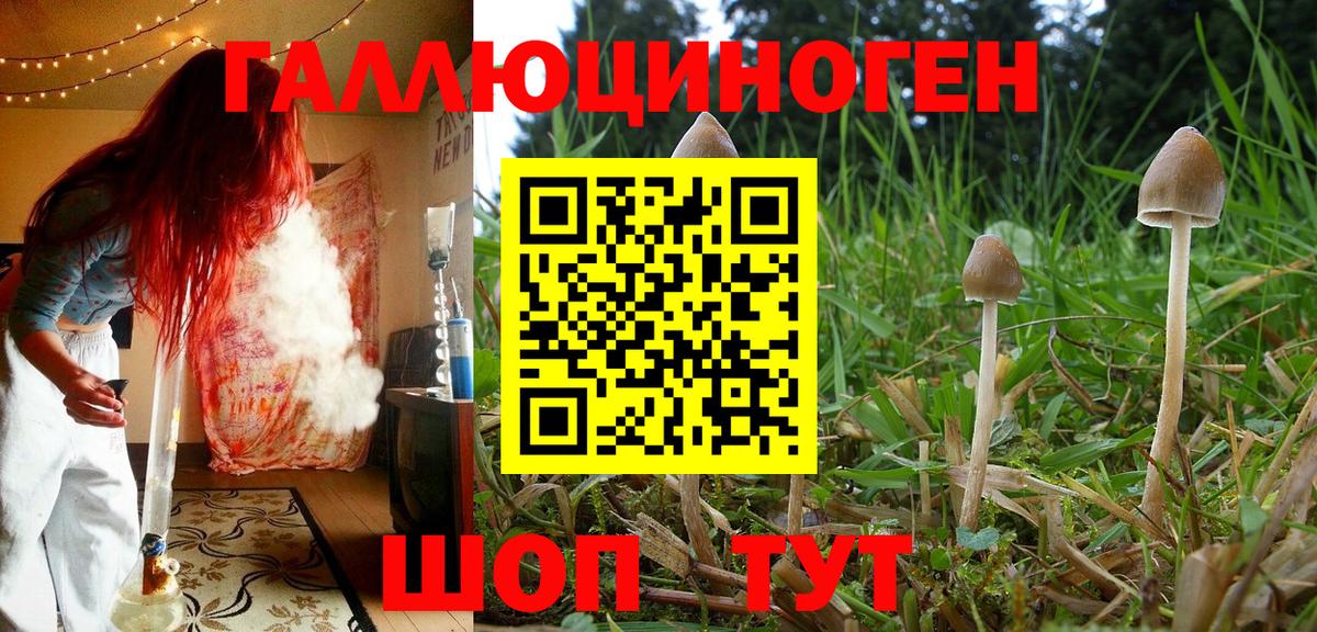  КОКАИН Удомля