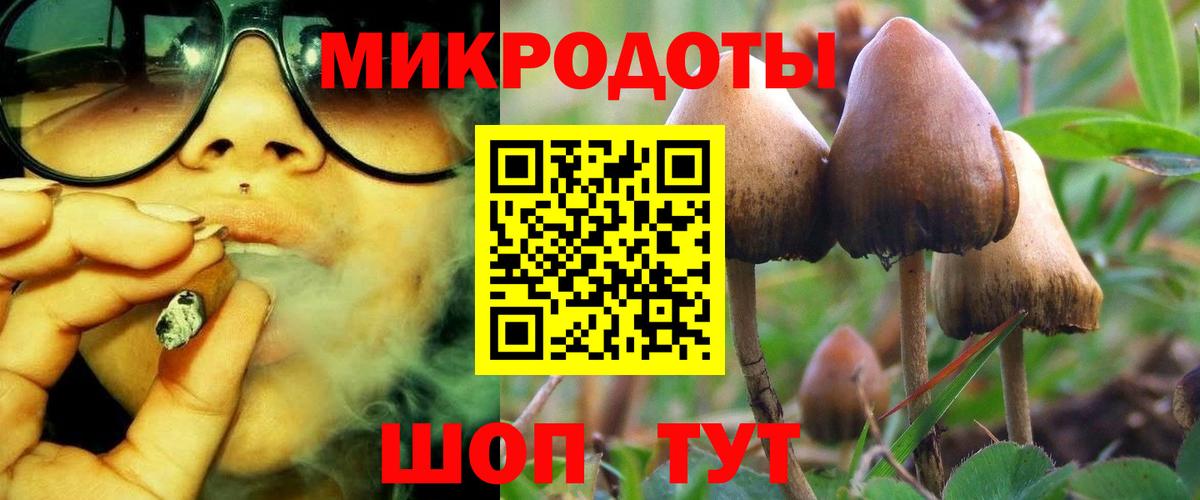 Галлюциногенные грибы Magic Shrooms  Вход с VPN  Галлюциногенные грибы Magic Shrooms  Удомля 