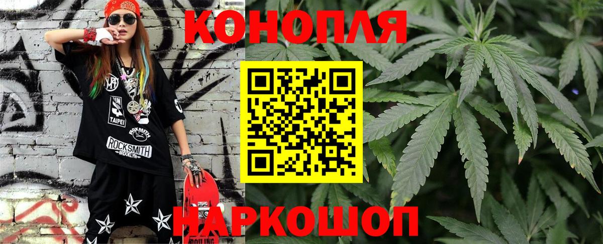 Каннабис OG Kush Удомля